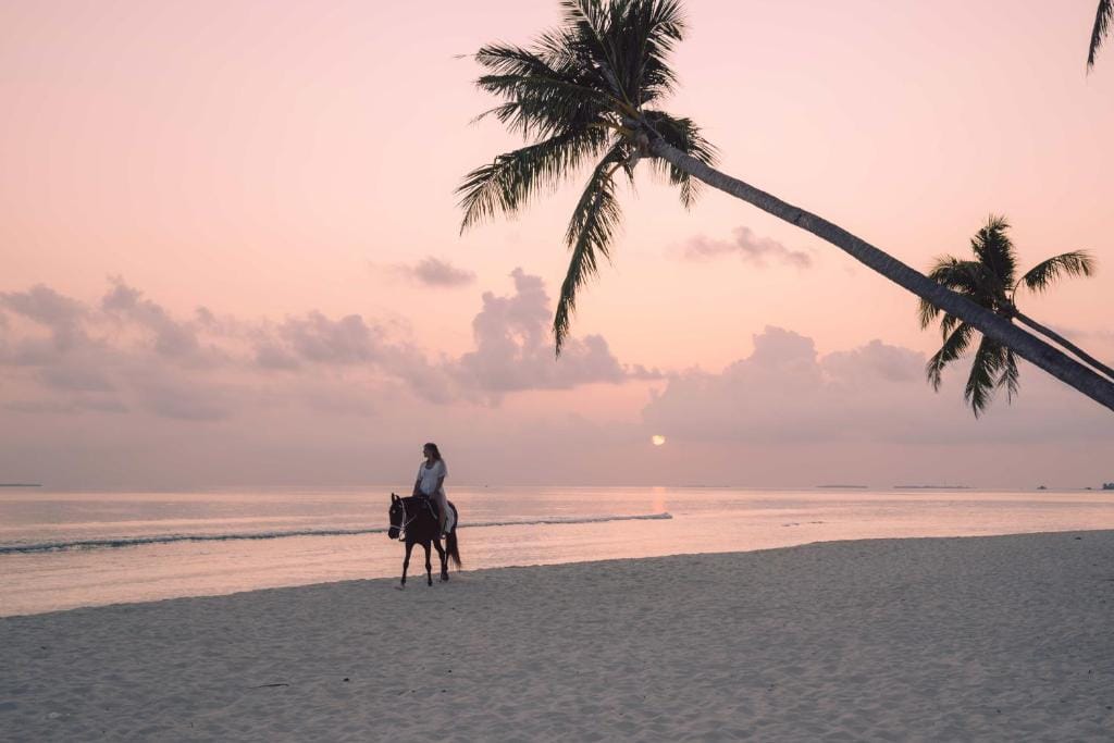 Siyam World Maldives - 24-Hour Premium All-inclusive with Free Transfer — 5