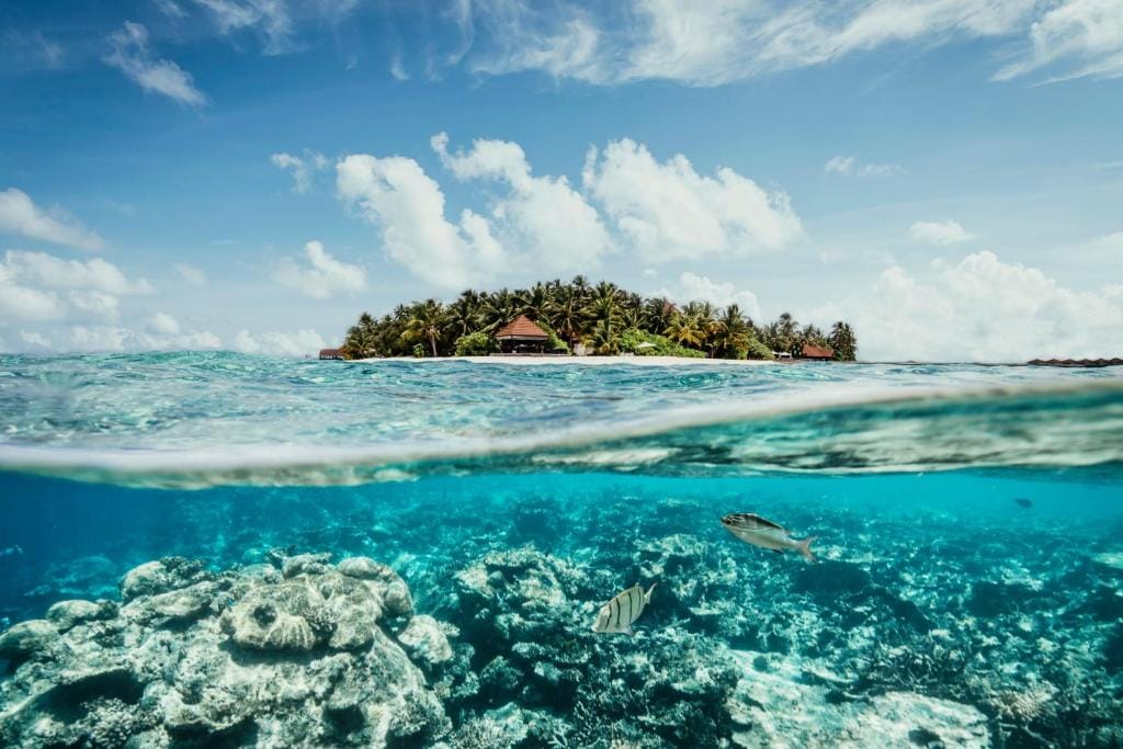 ROBINSON MALDIVES - Adults only — 1