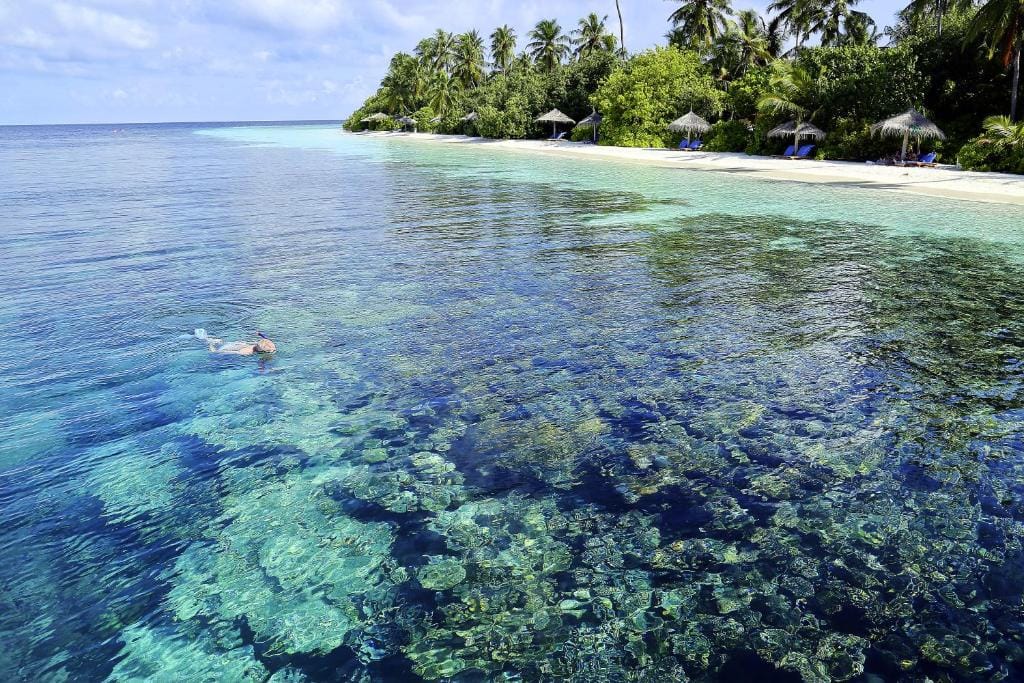 ROBINSON MALDIVES - Adults only — 5